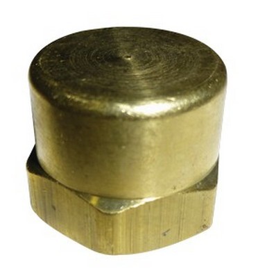 1/4" N.P.T. PIPE CAP BRASS FITTING (3129-4)