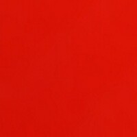 FLEET RED "BIG RIG" HIGH SOLIDS PAINT 20 OZ. CAN